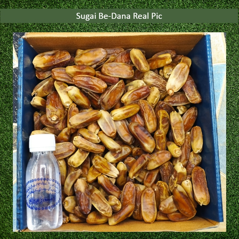 Sugai Be-Dana Real Dates without seeds
